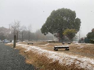 ���̏�ɂ��鐔��ނ̖�

�Ⴂ���x�Ŏ����I�ɐ������ꂽ����