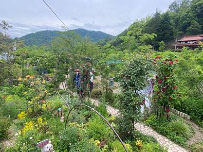 �R�̒�

�����x�̐��x�Ŏ����I�ɐ������ꂽ����