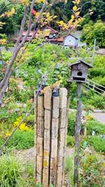 ��ɐA���Ă����

�Ⴂ���x�Ŏ����I�ɐ������ꂽ����