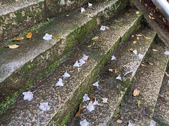 ���O, ��, ����, �� ���܂܂�Ă���摜

�����I�ɐ������ꂽ����