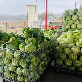 �X�̏�ɂ��鐔��ނ̖��

�Ⴂ���x�Ŏ����I�ɐ������ꂽ����