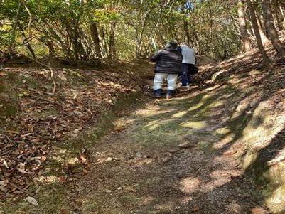 森の中を歩いている
低い精度で自動的に生成された説明