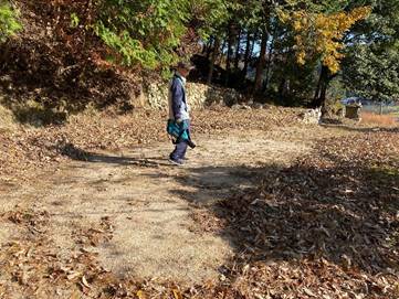 森の中を歩いている人
中程度の精度で自動的に生成された説明