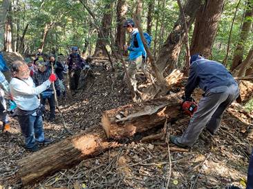 森の中にいる人たち
中程度の精度で自動的に生成された説明
