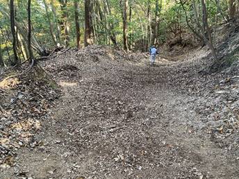 森の中を歩いている
中程度の精度で自動的に生成された説明