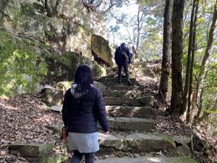 �X�̒��̊�̏�ɂ��鏗��

�����x�̐��x�Ŏ����I�ɐ������ꂽ����