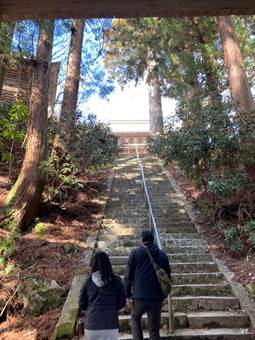 �t�F���X, ���O, ����, �� ���܂܂�Ă���摜

�����I�ɐ������ꂽ����