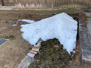 ��, ���O, ����, �Â� ���܂܂�Ă���摜

�����I�ɐ������ꂽ����