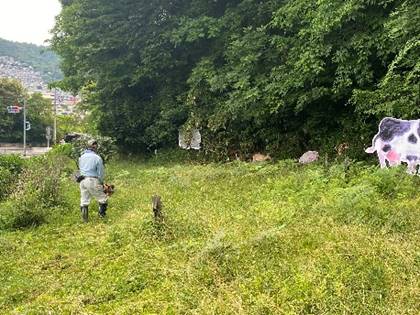 ��, ���O, �t�B�[���h, �E�V ���܂܂�Ă���摜

�����I�ɐ������ꂽ����