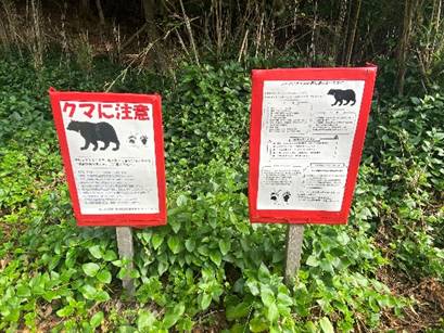 ���̏�ɂ��鐔��ނ̃|�X�^�[

�Ⴂ���x�Ŏ����I�ɐ������ꂽ����