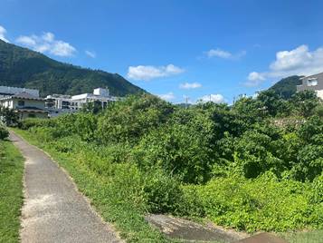 �R�̒��̓�

�����I�ɐ������ꂽ����