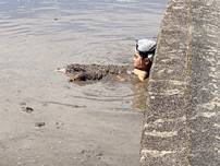 ���O, ��, �j, ���l ���܂܂�Ă���摜

�����I�ɐ������ꂽ����