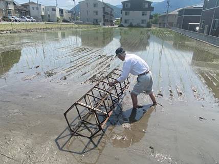 ���O, �j, ��, �� ���܂܂�Ă���摜

�����I�ɐ������ꂽ����
