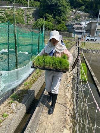 �t�F���X, ���O, ����, �O���[�� ���܂܂�Ă���摜

�����I�ɐ������ꂽ����