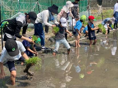 ���n��l�X

�����x�̐��x�Ŏ����I�ɐ������ꂽ����