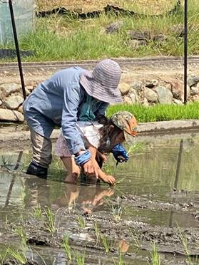 ���O, �t�F���X, ��, ���� ���܂܂�Ă���摜

�����I�ɐ������ꂽ����