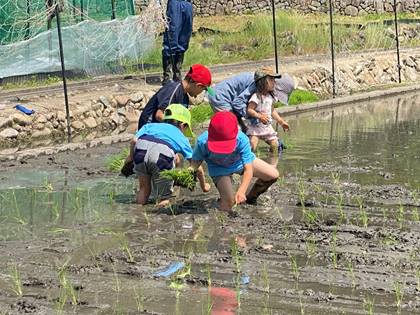 ��, ���O, �t�F���X, �� ���܂܂�Ă���摜

�����I�ɐ������ꂽ����