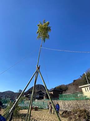 �� ���܂܂�Ă���摜

�����I�ɐ������ꂽ����