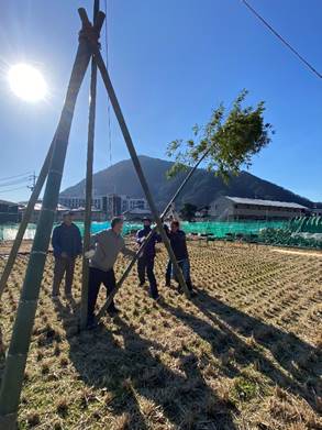 ���O ���܂܂�Ă���摜

�����I�ɐ������ꂽ����