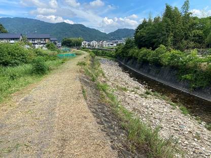 �R�̒��̓�

�����x�̐��x�Ŏ����I�ɐ������ꂽ����