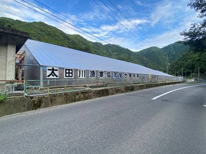 �R�̘[�ɂ��铹�H

�����x�̐��x�Ŏ����I�ɐ������ꂽ����