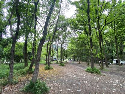 �X�̒��̓�

�����I�ɐ������ꂽ����