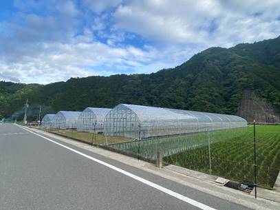 �R�̓��H

�����I�ɐ������ꂽ����