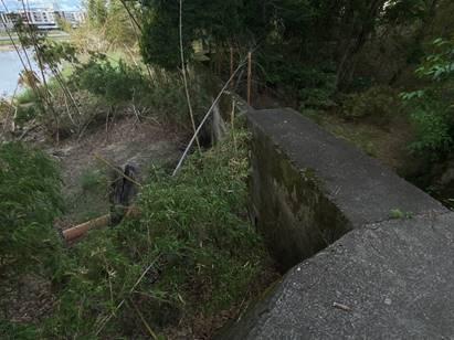 �X�̒��̓�

�����x�̐��x�Ŏ����I�ɐ������ꂽ����