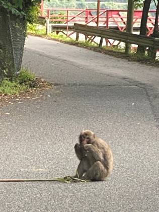 ����, ���O, �L, �� ���܂܂�Ă���摜

�����I�ɐ������ꂽ����